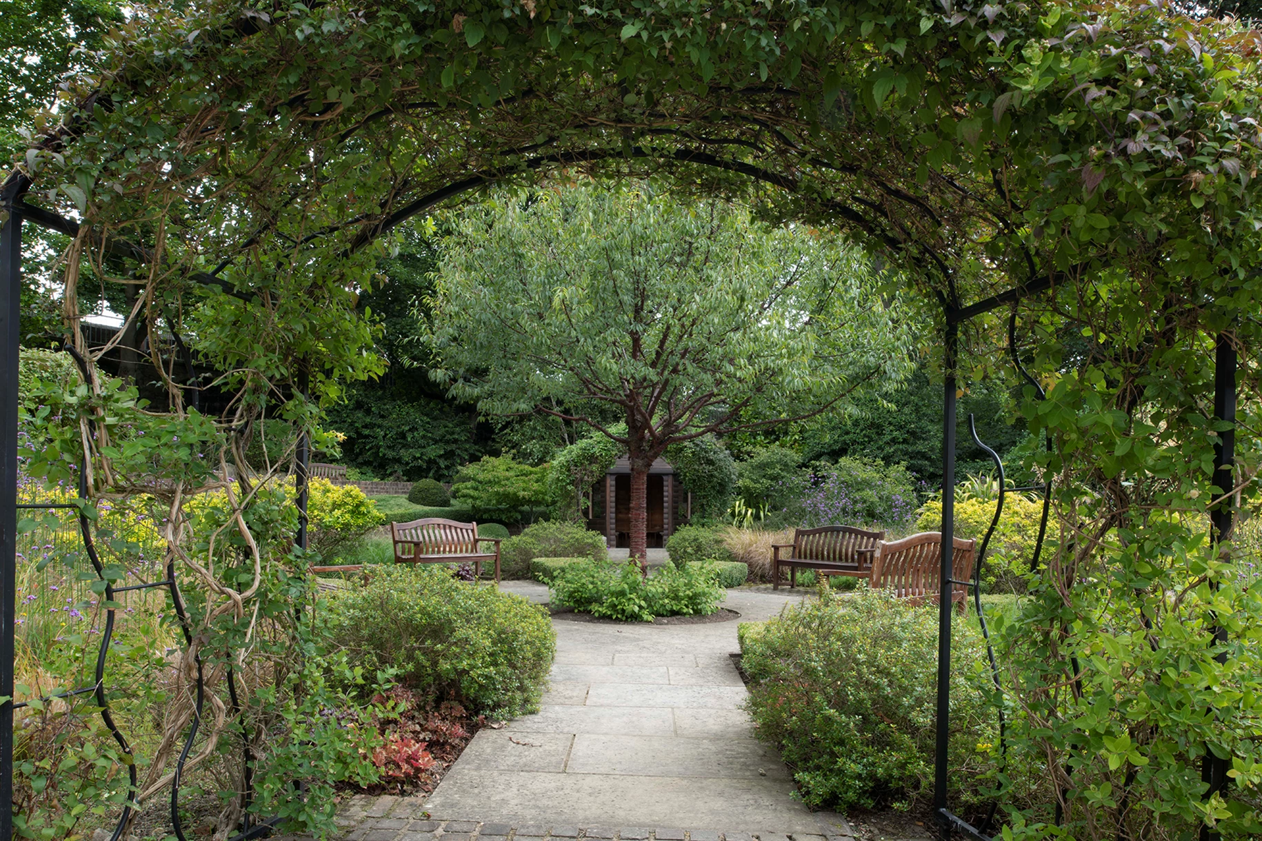 St Anthony's Garden 120720 7731