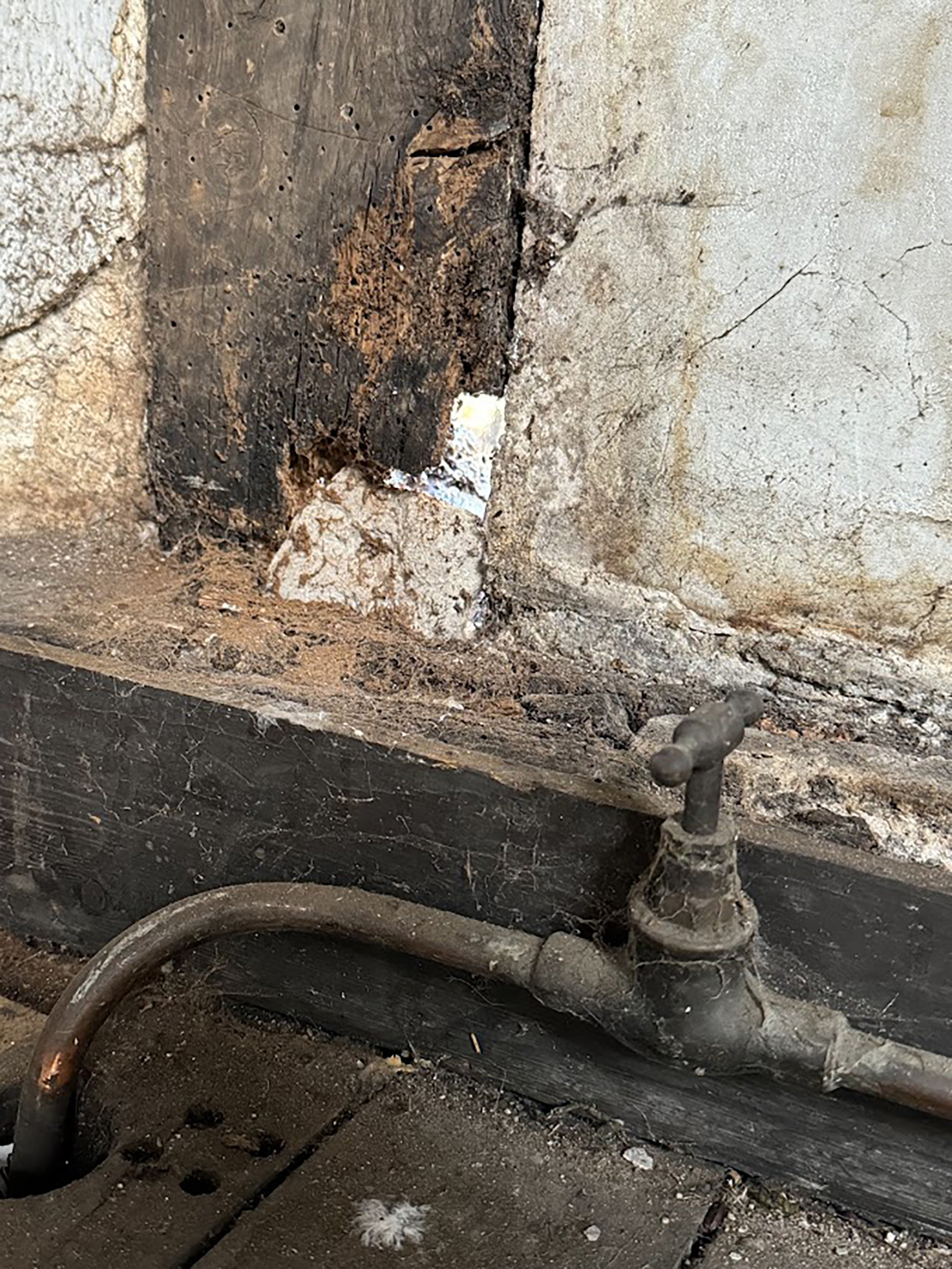 Hebert House 2024 | York Conservation Trust