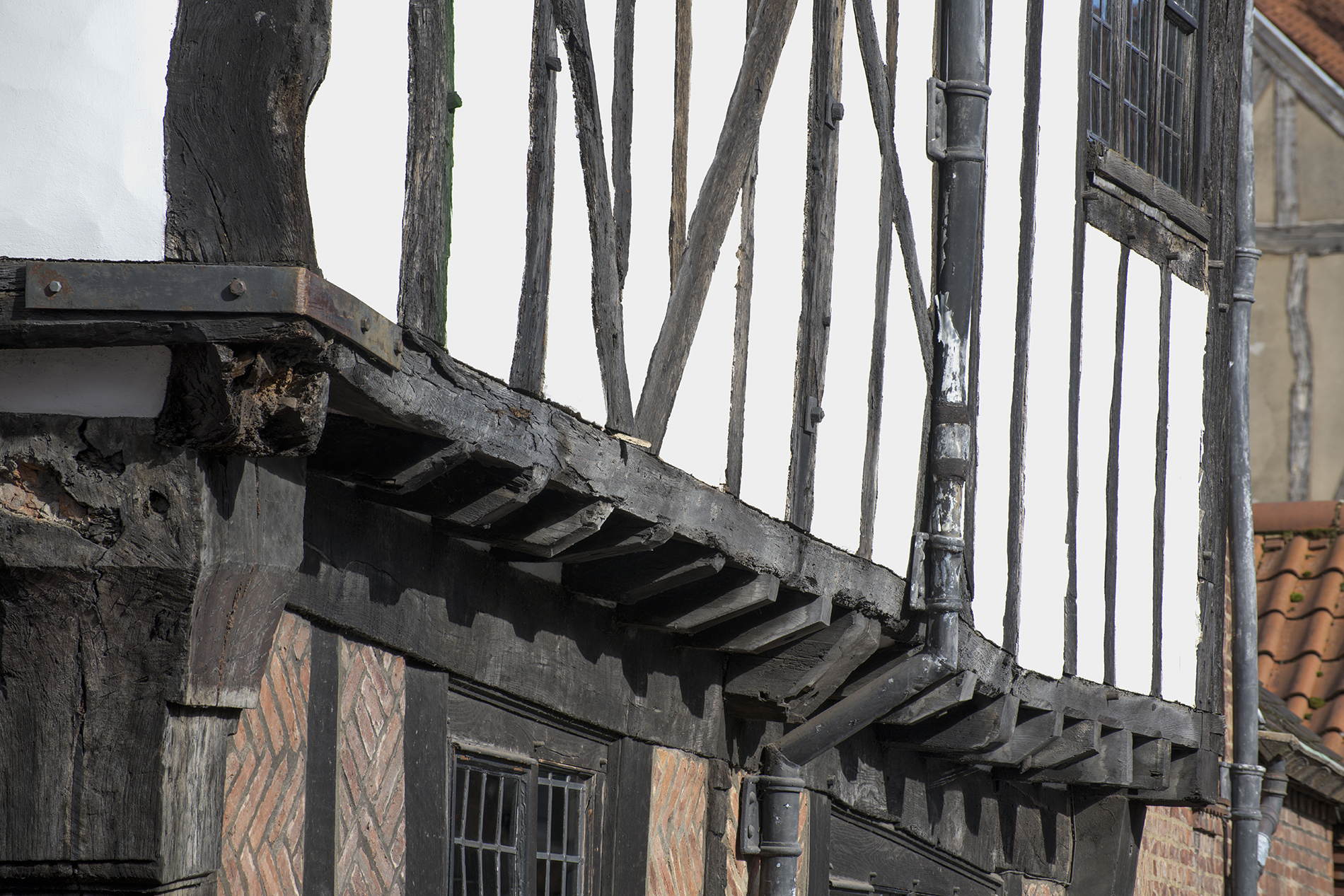 Powell's Yard | York Conservation Trust | Goodramgate