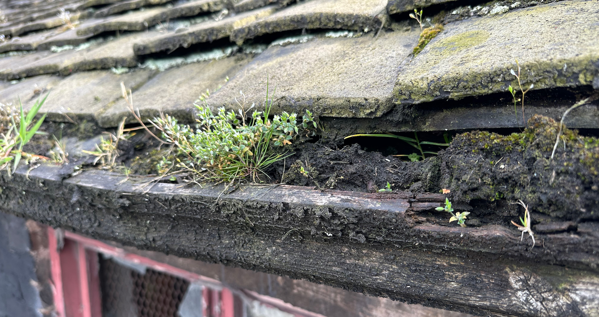 Rotten timber troughing | York Conservation Trust