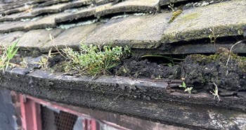 Rotten timber troughing | York Conservation Trust