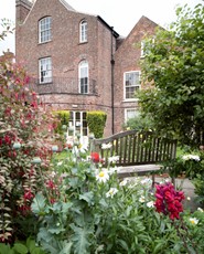 23 Stonegate garden | Climate Change | York Conservation Trust