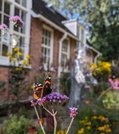 St Anthony's Hall Gardens | York Conservation Trust | butterflies