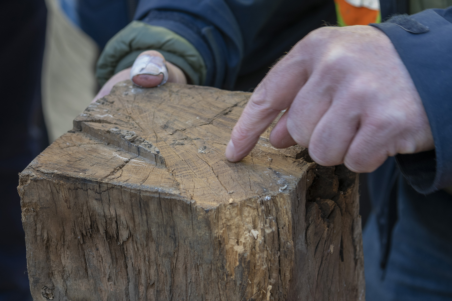 Climate Change | York Conservation Trust | Historic Buildings