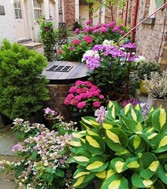 Morrell Yard | York Conservation Trust | Gardens