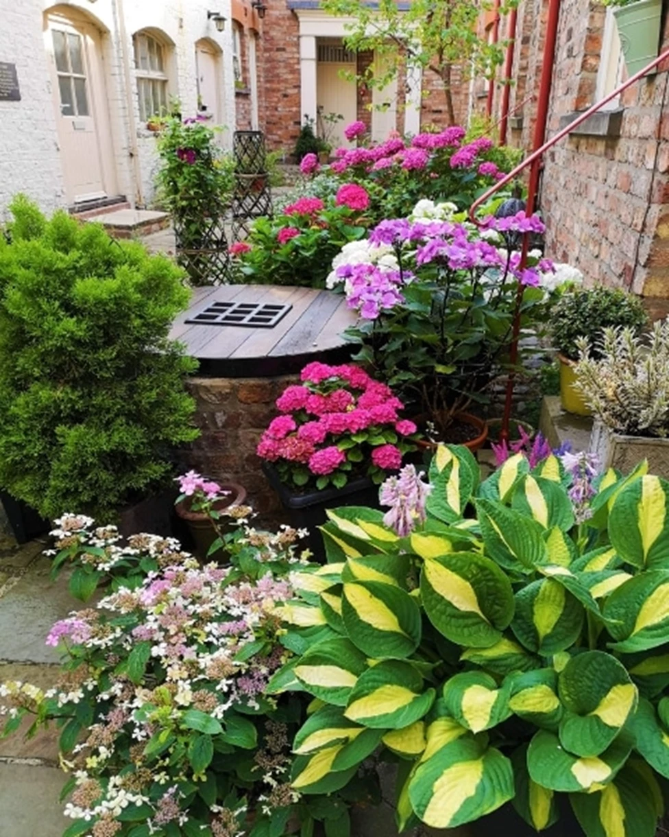 Morrell Yard | York Conservation Trust | Gardens