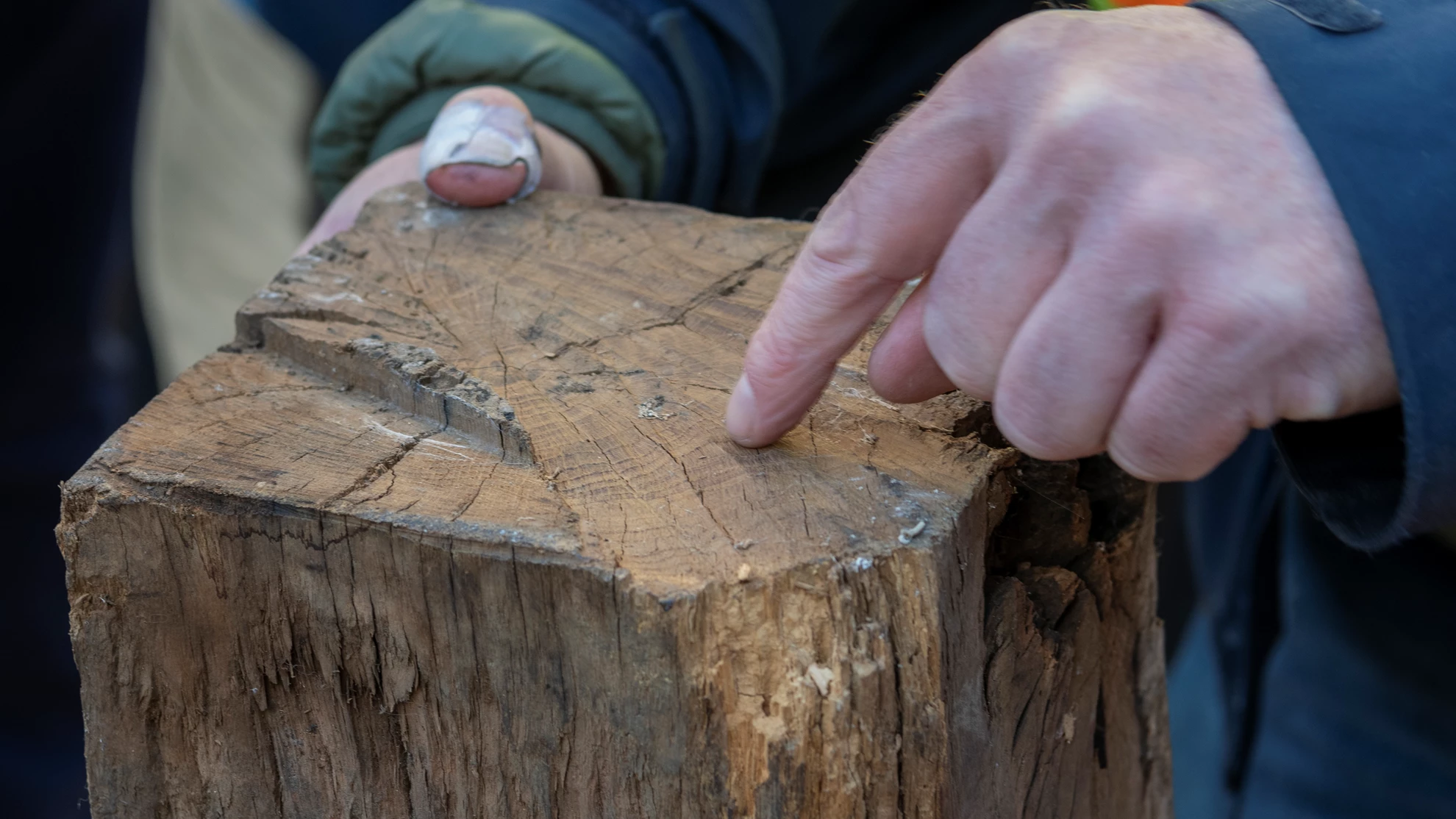 Climate change timber inspection | York Conservation Trust | Historic buildings