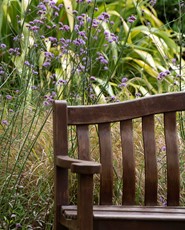 St Anthony's Garden 120720 6