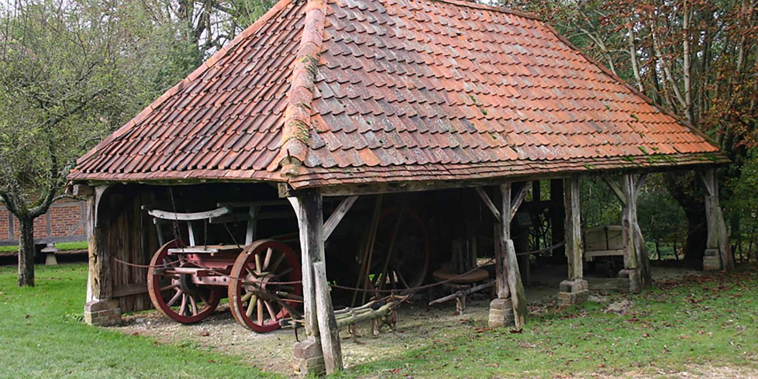 Phoebe Harris YCCC Bursary Award 2025 sponsored by York Conservation Trust