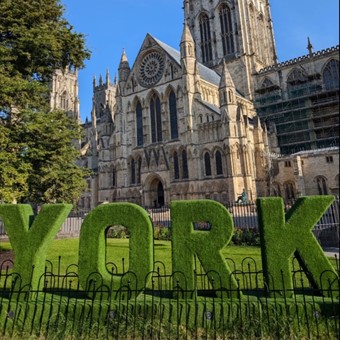 York Conservation Trust | Summer 2024 guide | York Minster