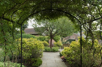 St Anthony's Hall Gardens | York Conservation Trust  | Arbor