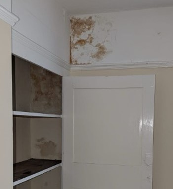 Interior damp caused by timber troughing failure | York Conservation Trust