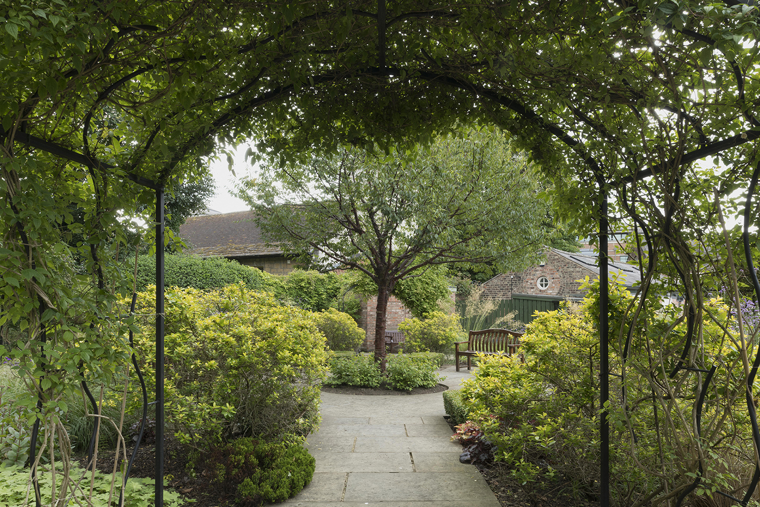 St Anthony's Hall Gardens | York Conservation Trust | arbor